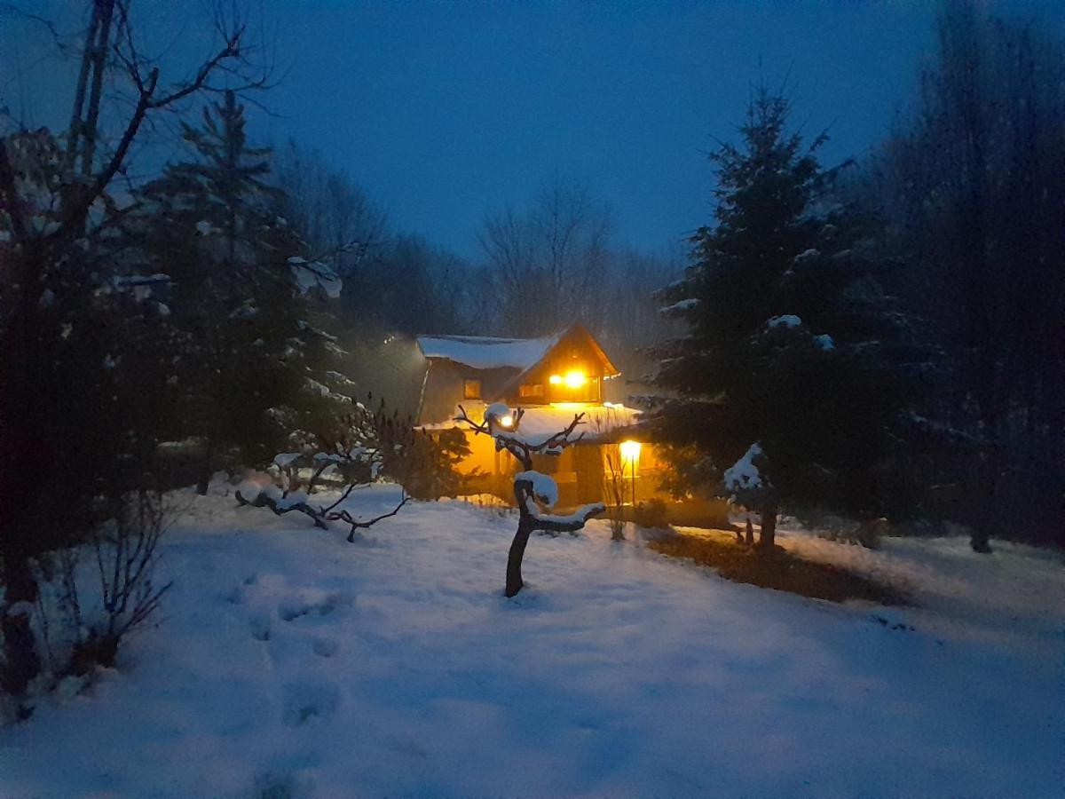 Cabana Din Padurea Valeni Vălenii de Munte Exterior foto