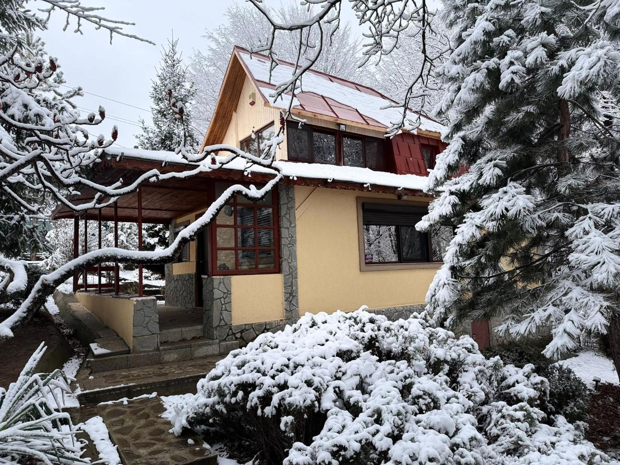 Cabana Din Padurea Valeni Vălenii de Munte Exterior foto