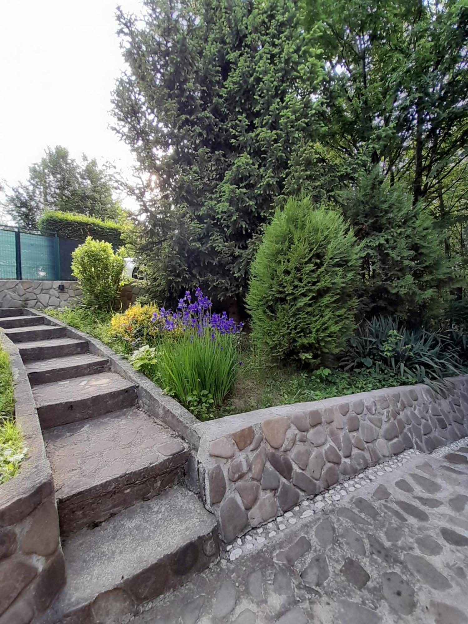 Cabana Din Padurea Valeni Vălenii de Munte Exterior foto