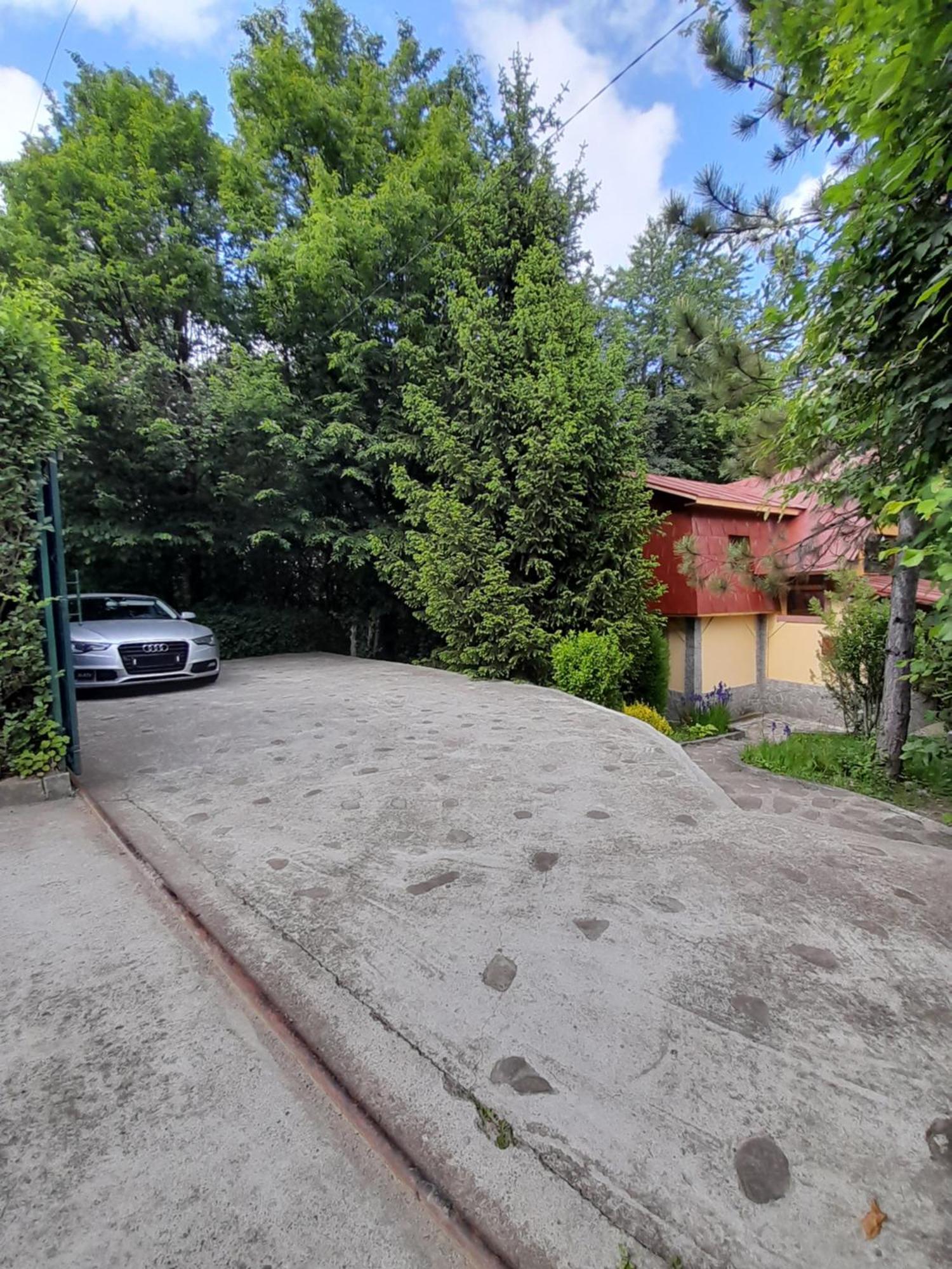 Cabana Din Padurea Valeni Vălenii de Munte Exterior foto