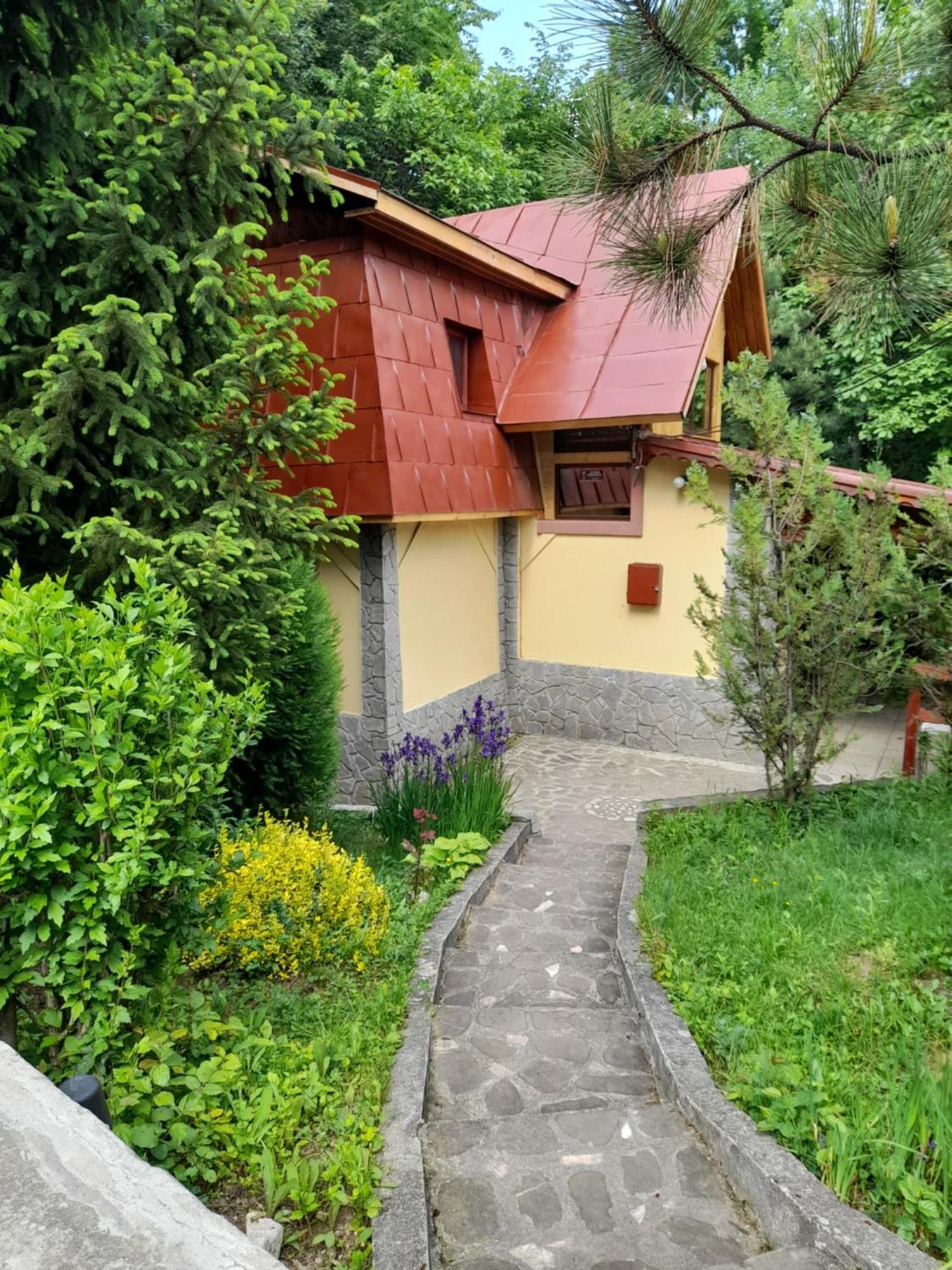 Cabana Din Padurea Valeni Vălenii de Munte Exterior foto